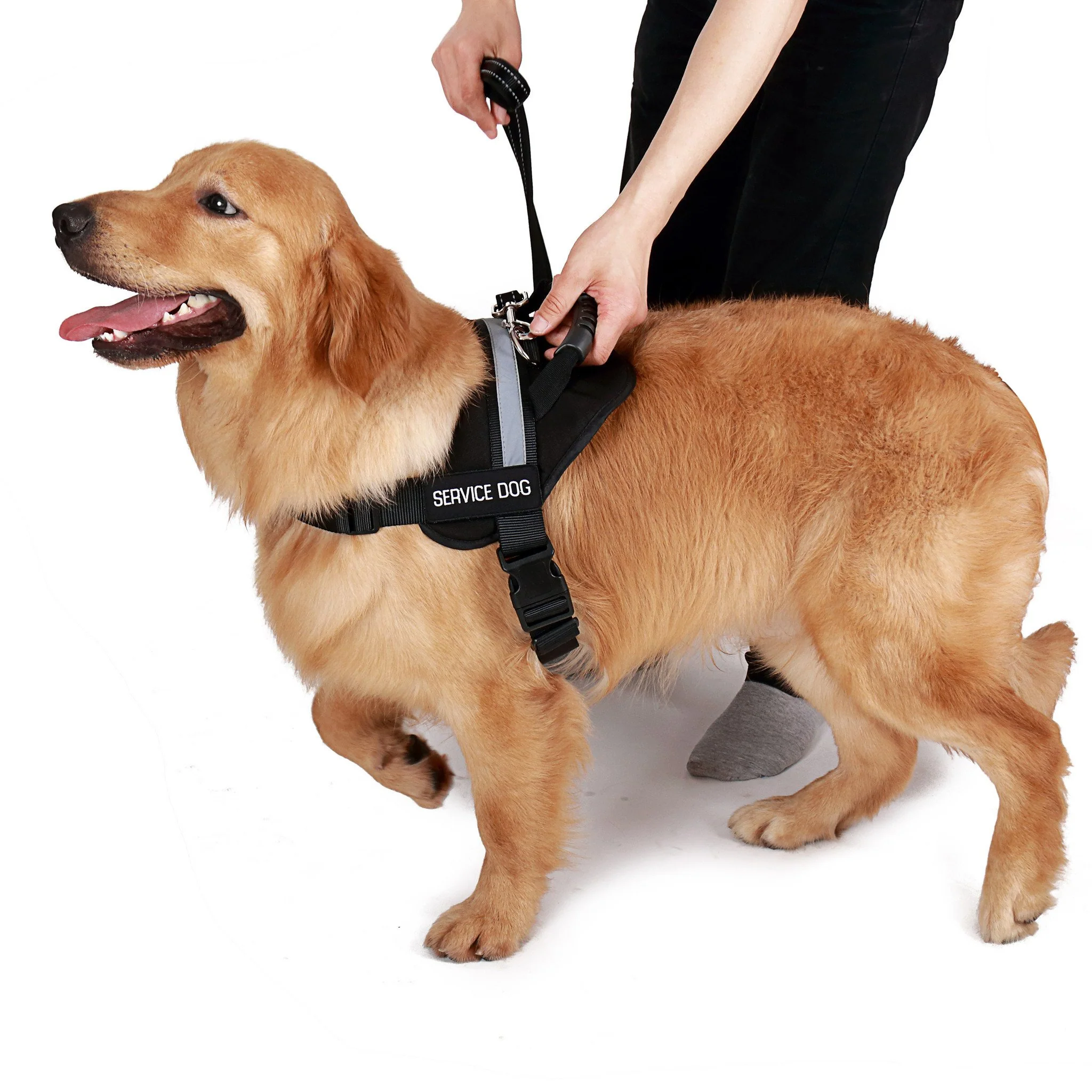 Bundle & Save Emotional Support Animal Vest With Handle - Image 8
