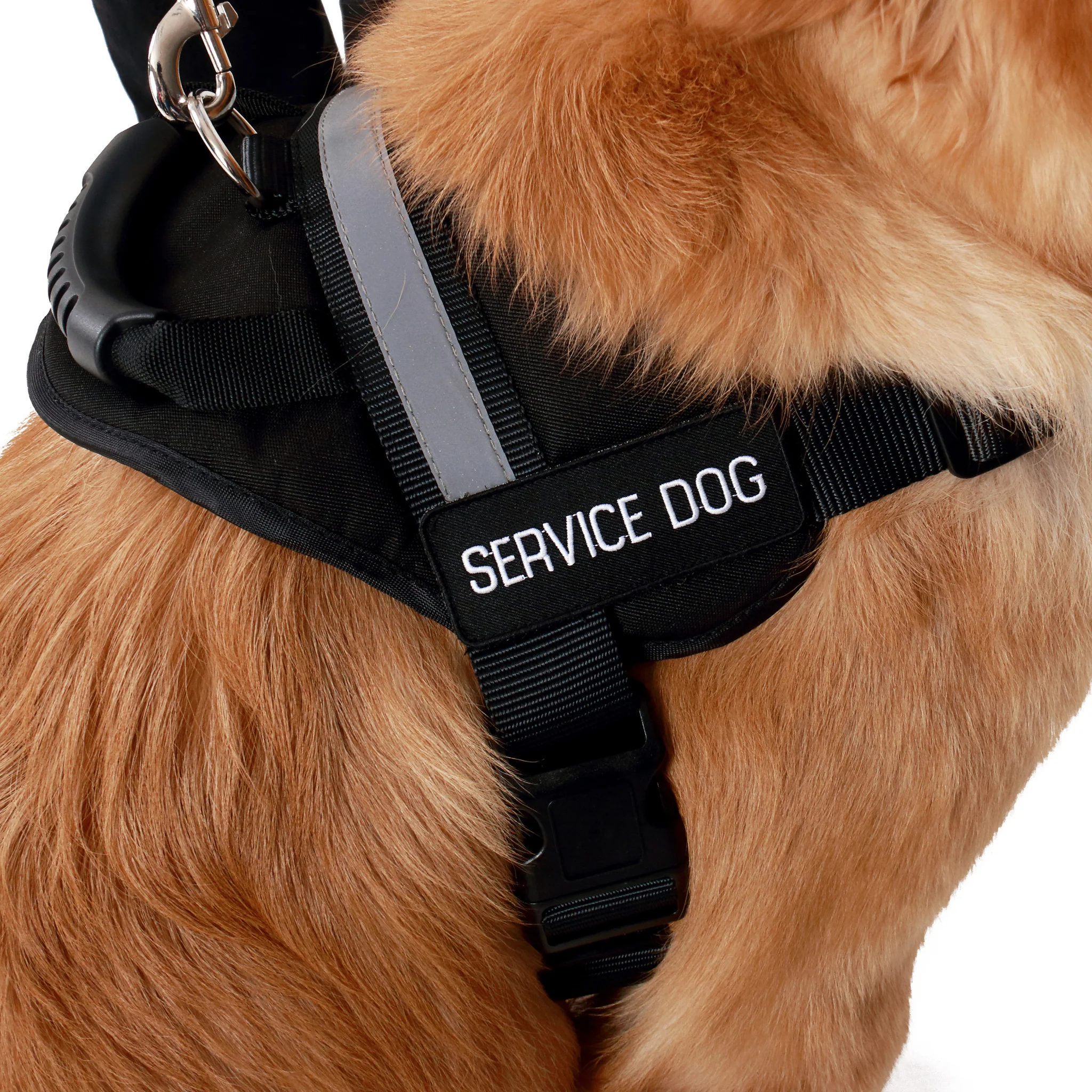 Emotional Support Vest w/ Handle Deluxe Registration Package ($250 Value) New Item - Image 11