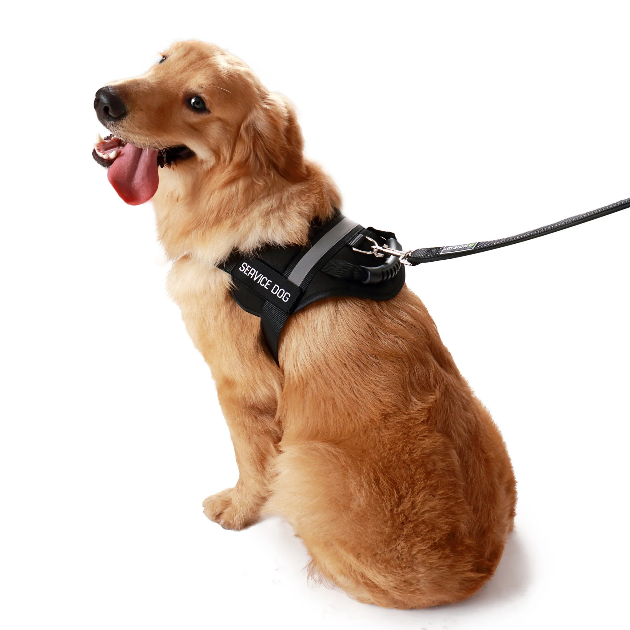 Service Dog Vest w/ Handle Deluxe Registration Package - Image 10