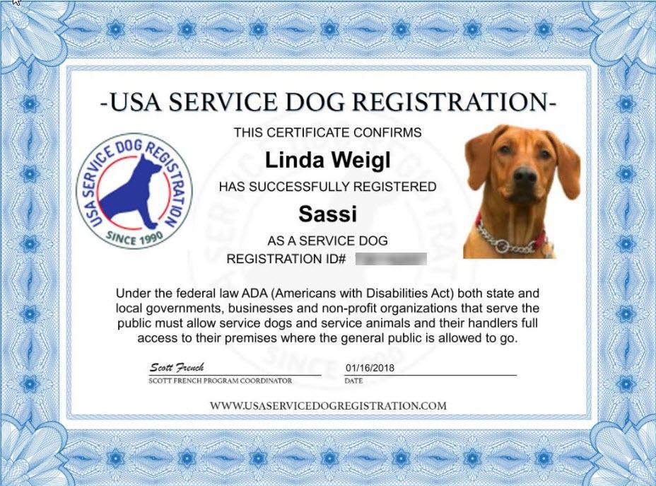 Service Dog Vest w/ Handle Deluxe Registration Package - Image 5