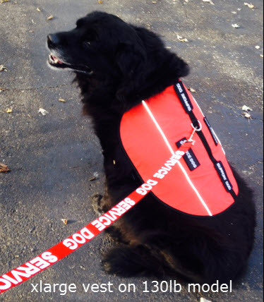 Service Dog Vest - Image 6